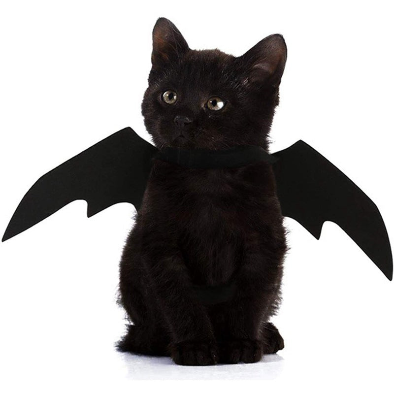 Bat Wings Halloween Costume – For Cats & Small Dogs