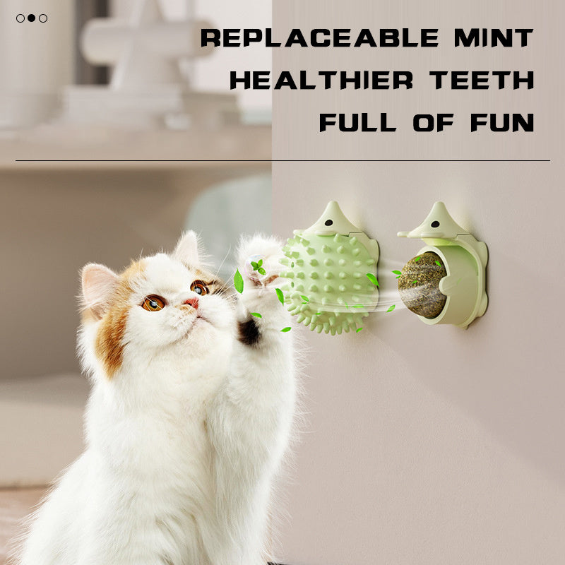 Self-Grooming Wall Brush for Cats – Corner Massager & Hair Remover