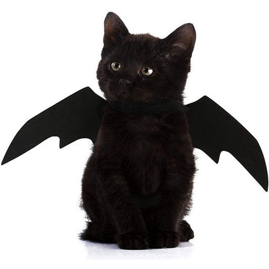 Bat Wings Halloween Costume – For Cats & Small Dogs
