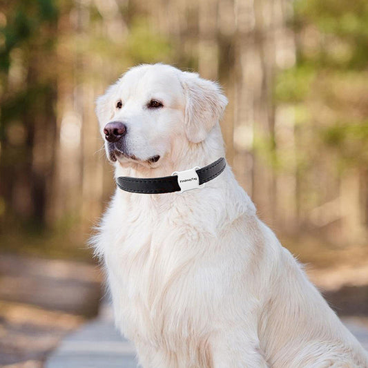 Smart GPS Pet Tracker – Real-Time Locator for Dogs & Cats | Anti-Lost Device